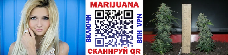 Все наркотики Ленинск СК  omg tor  Кокаин  МЕФ 