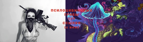 спайс Валдай