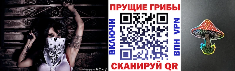 как найти закладки  Ленинск  Галлюциногенные грибы MAGIC MUSHROOMS 